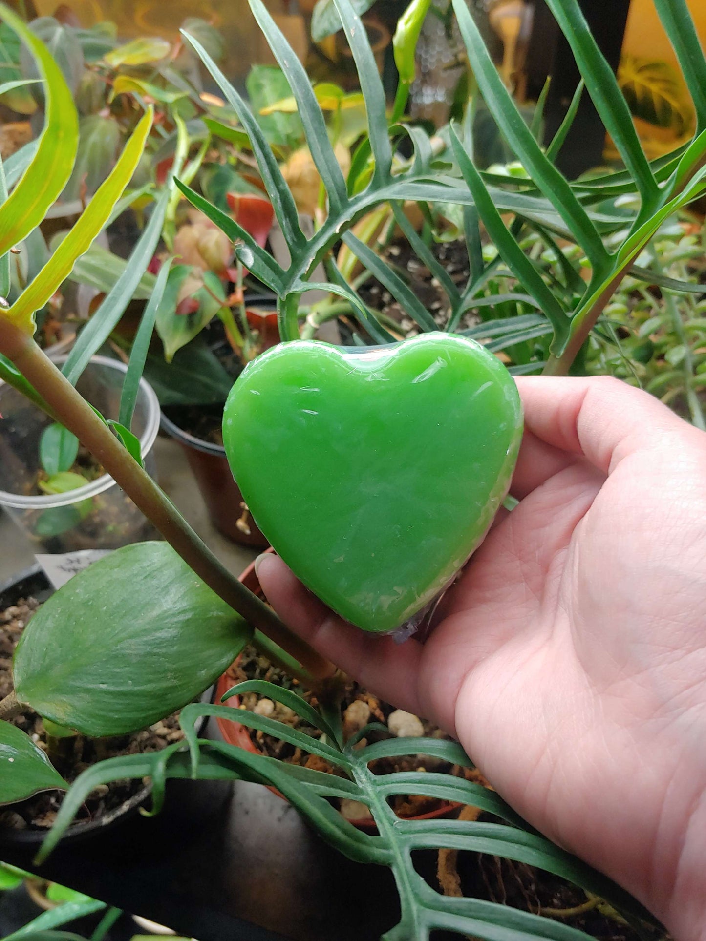 Gardener's Heart Soap