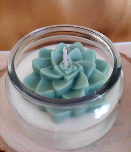 Lush Succulent Oasis Candle