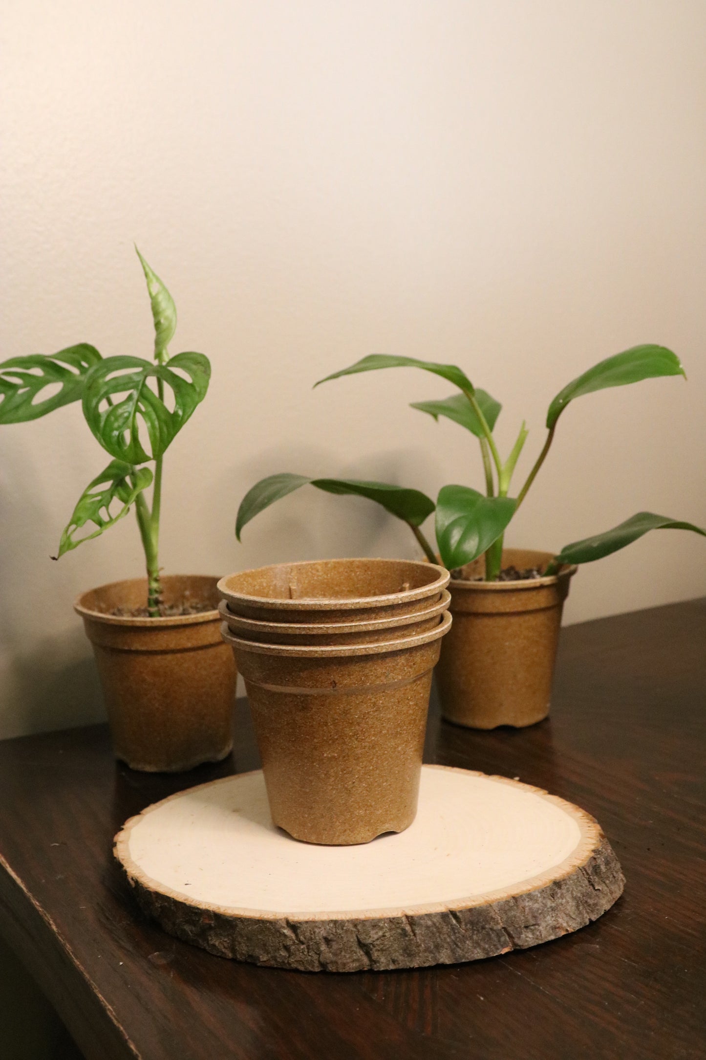 3.5" Eco Friendly Pots