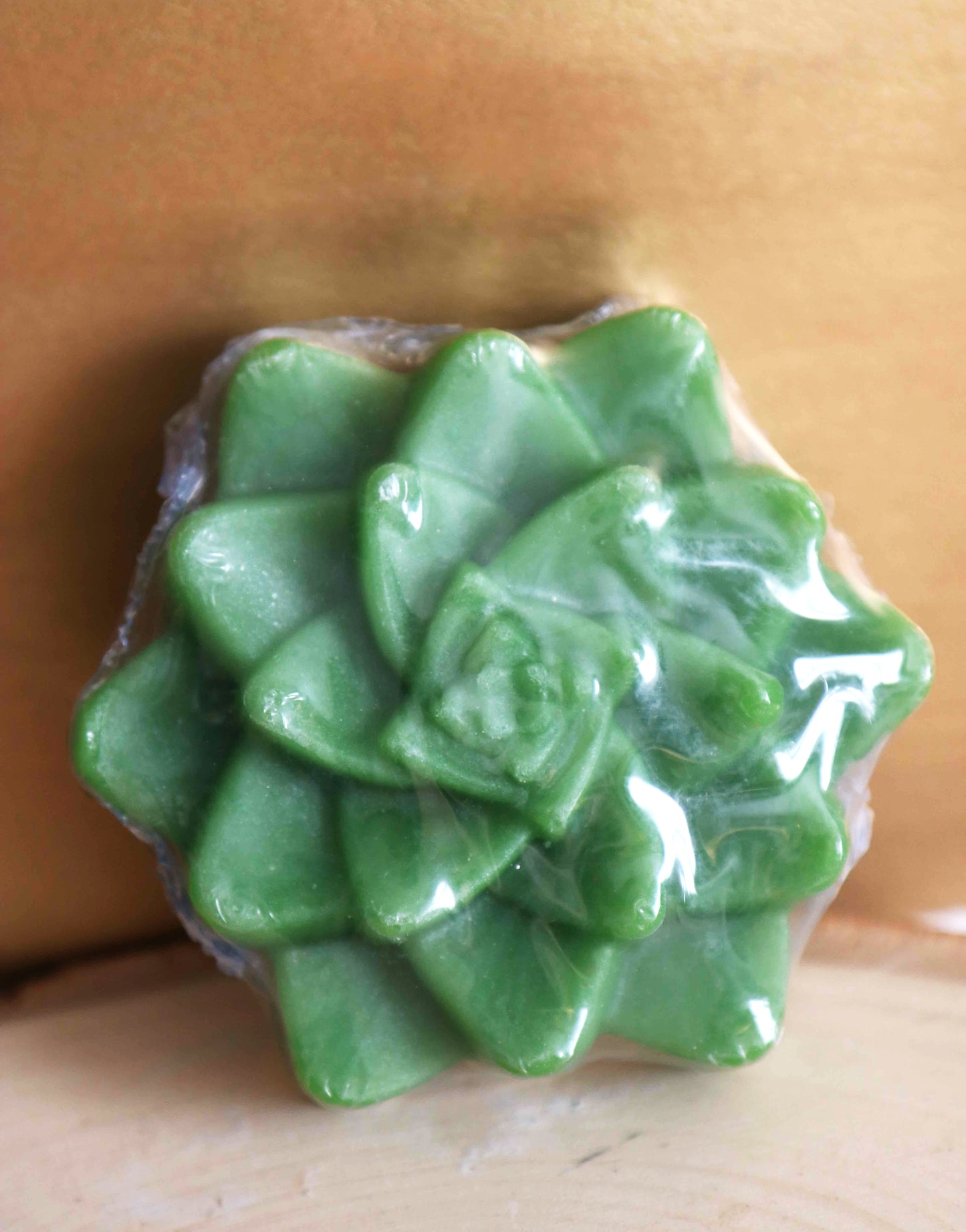 Succulent Soap