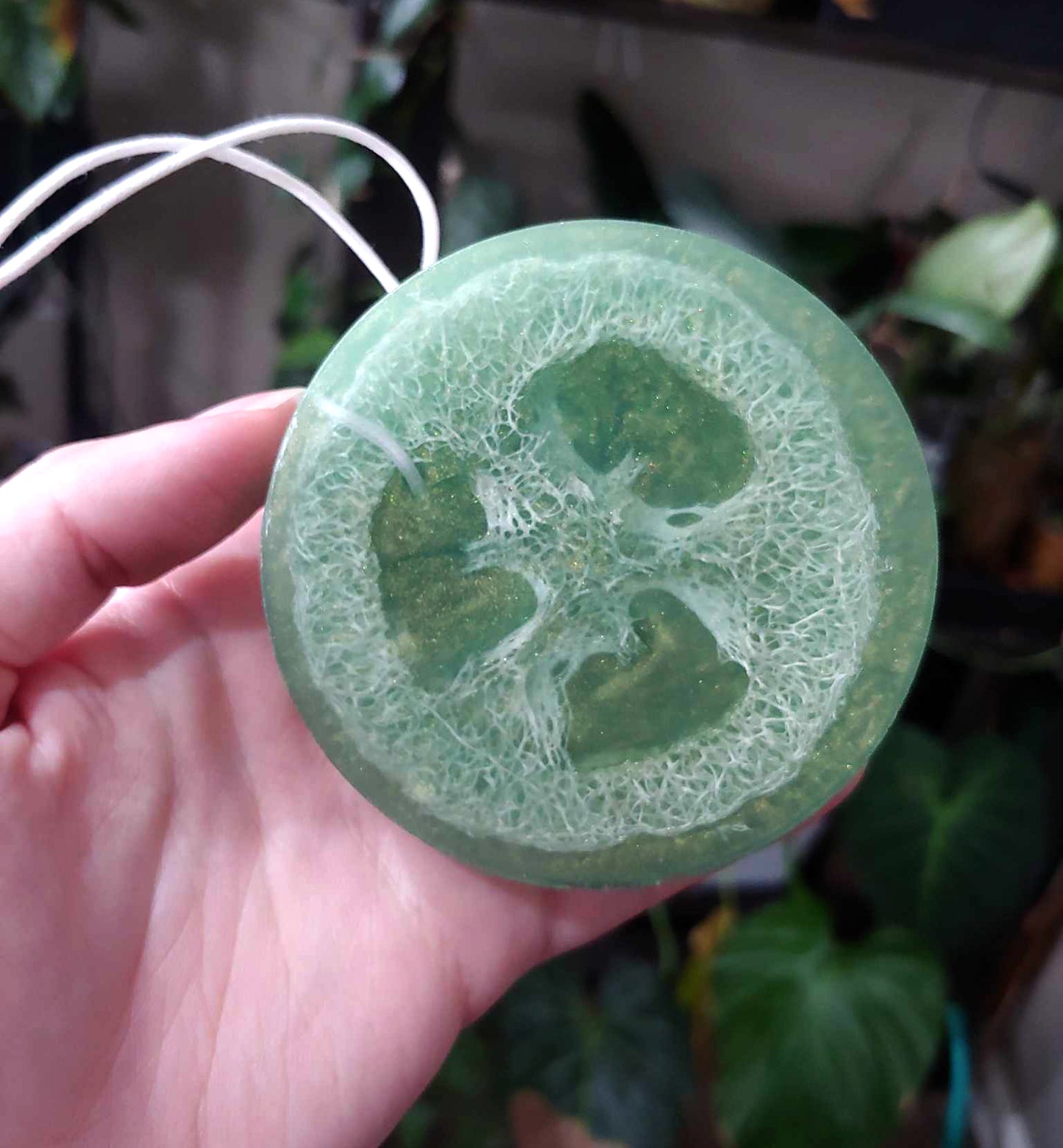 Loofah Soap