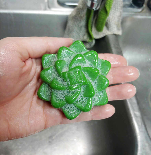 Succulent Soap