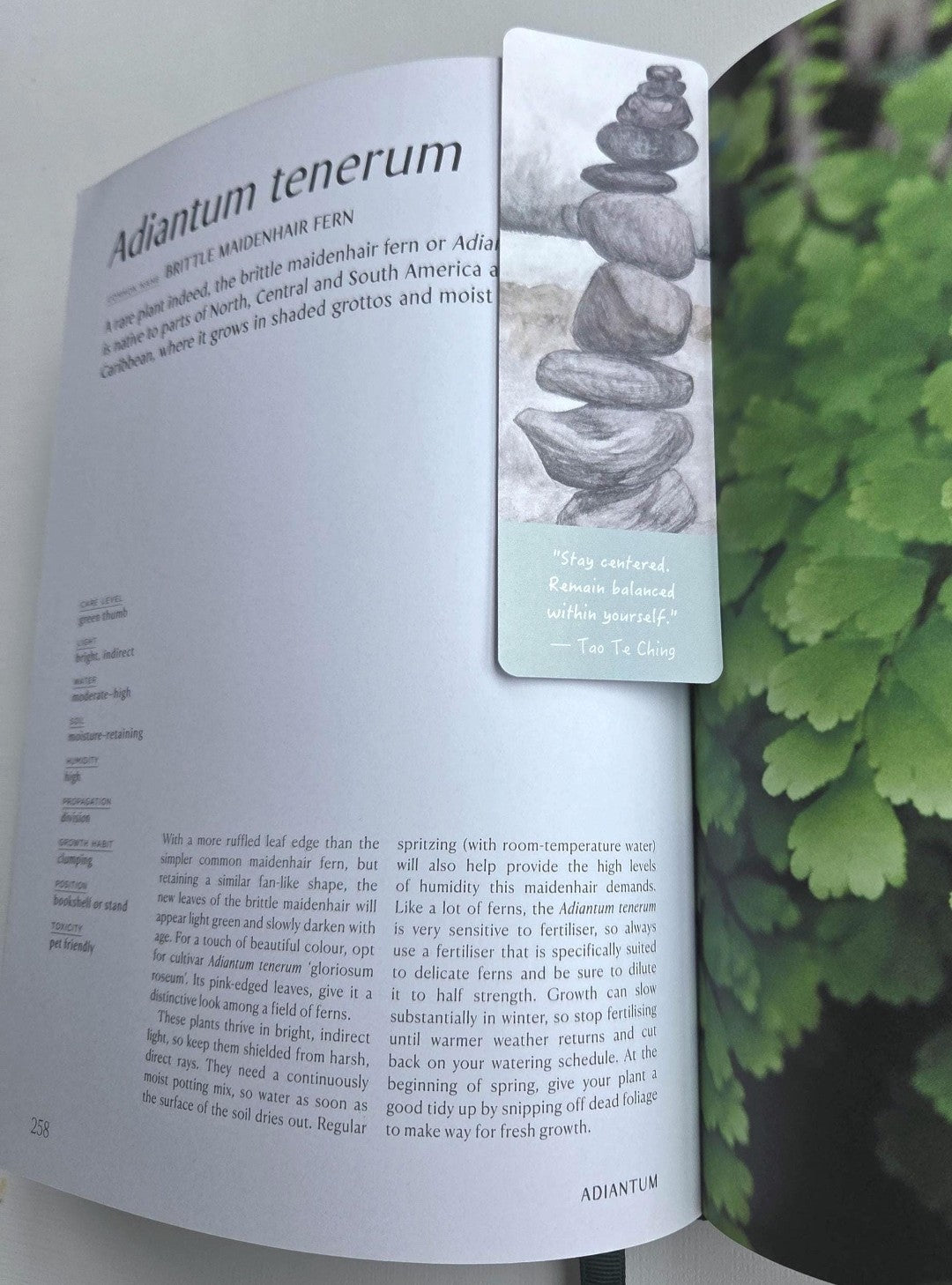 Balancing Rocks Bookmark with Tao Te Ching Quote