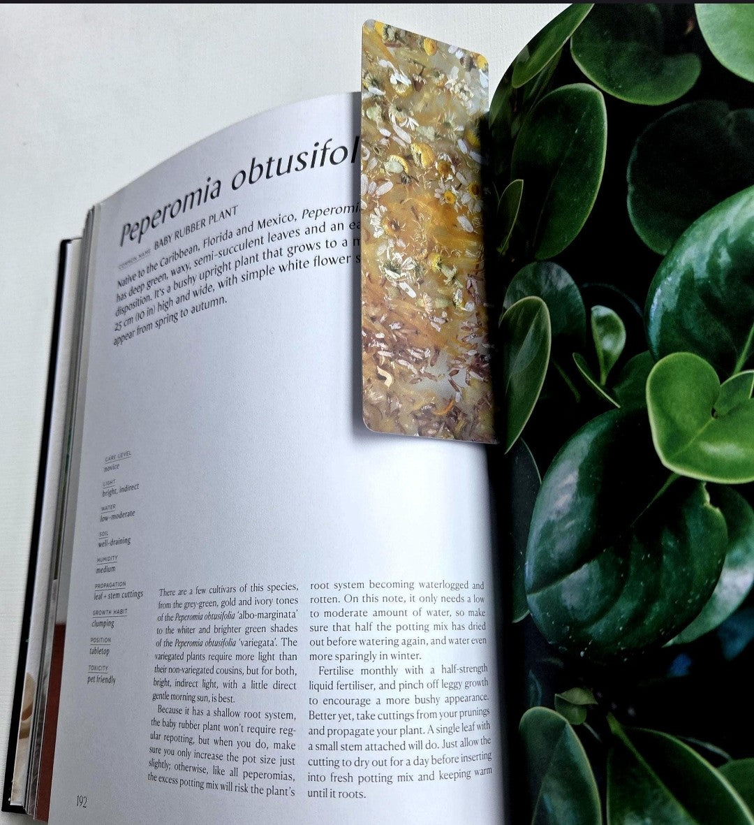 Herbal Bookmark
